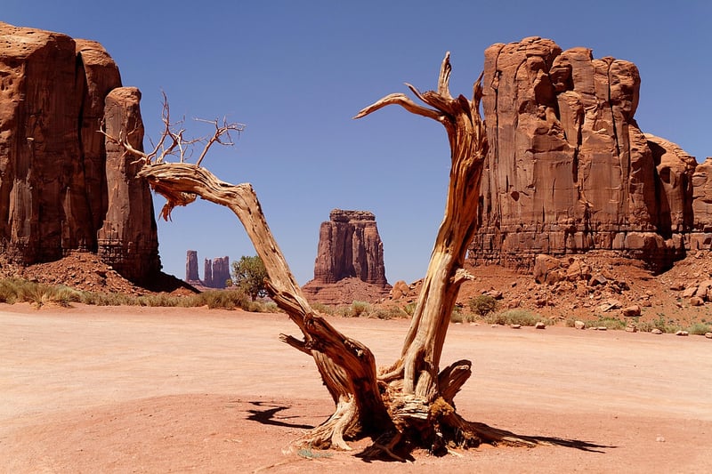 Wild West Journeys